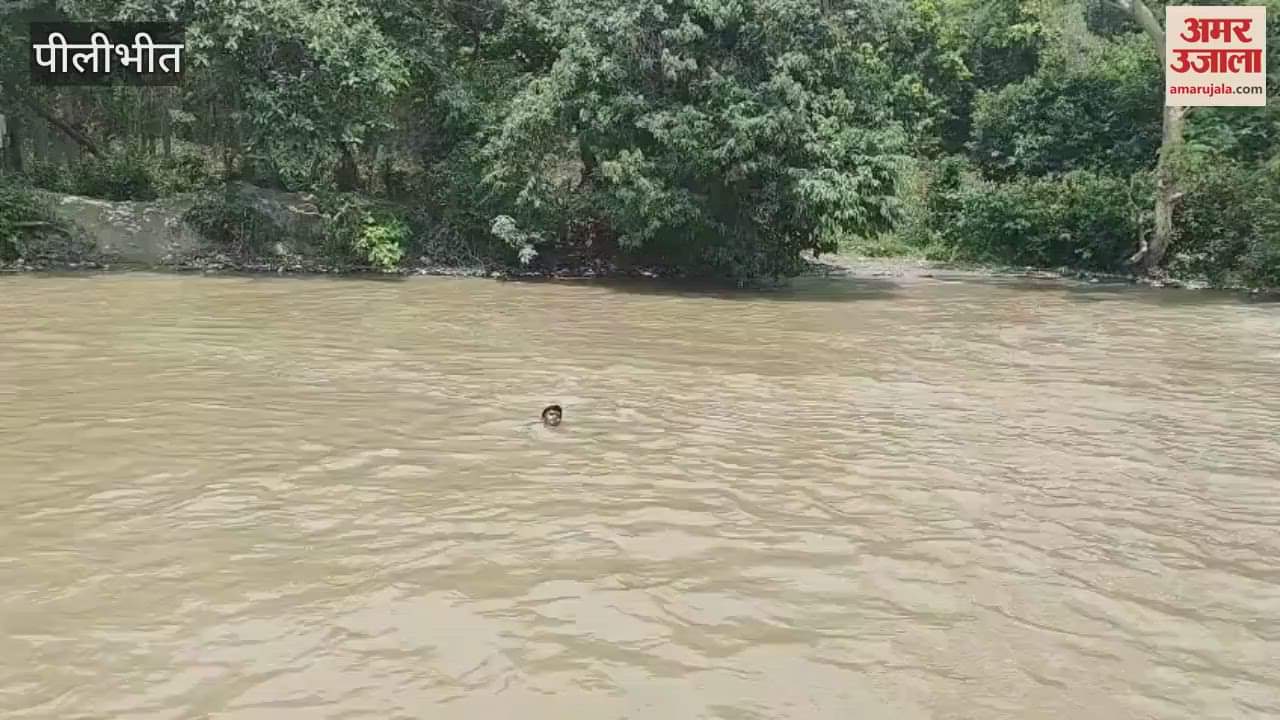 dead body of man found in canal in Pilibhit