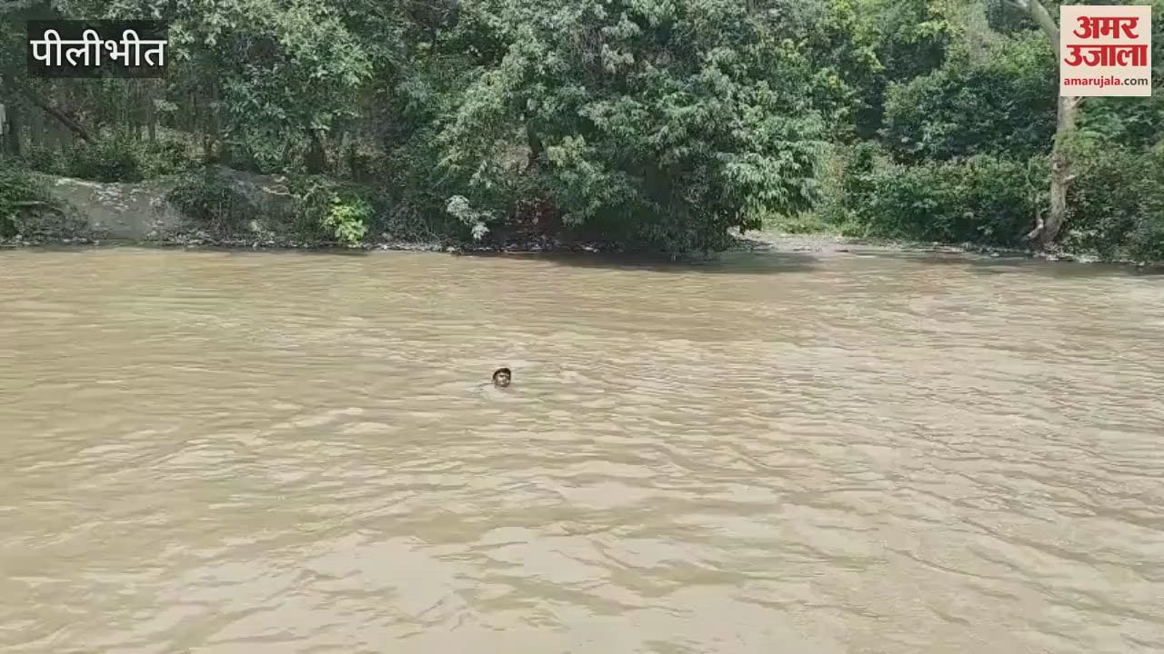 dead body of man found in canal in Pilibhit