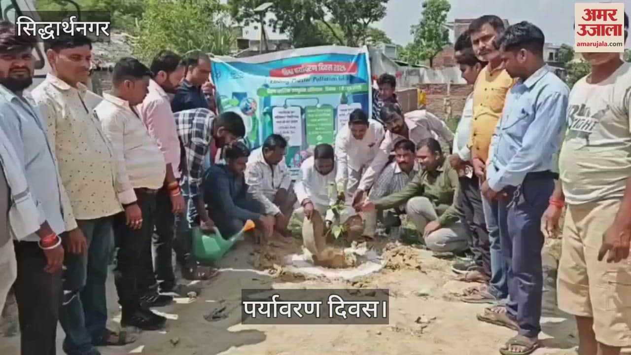 Environment Day was celebrated in the office of Nagar Panchayat Biskohar