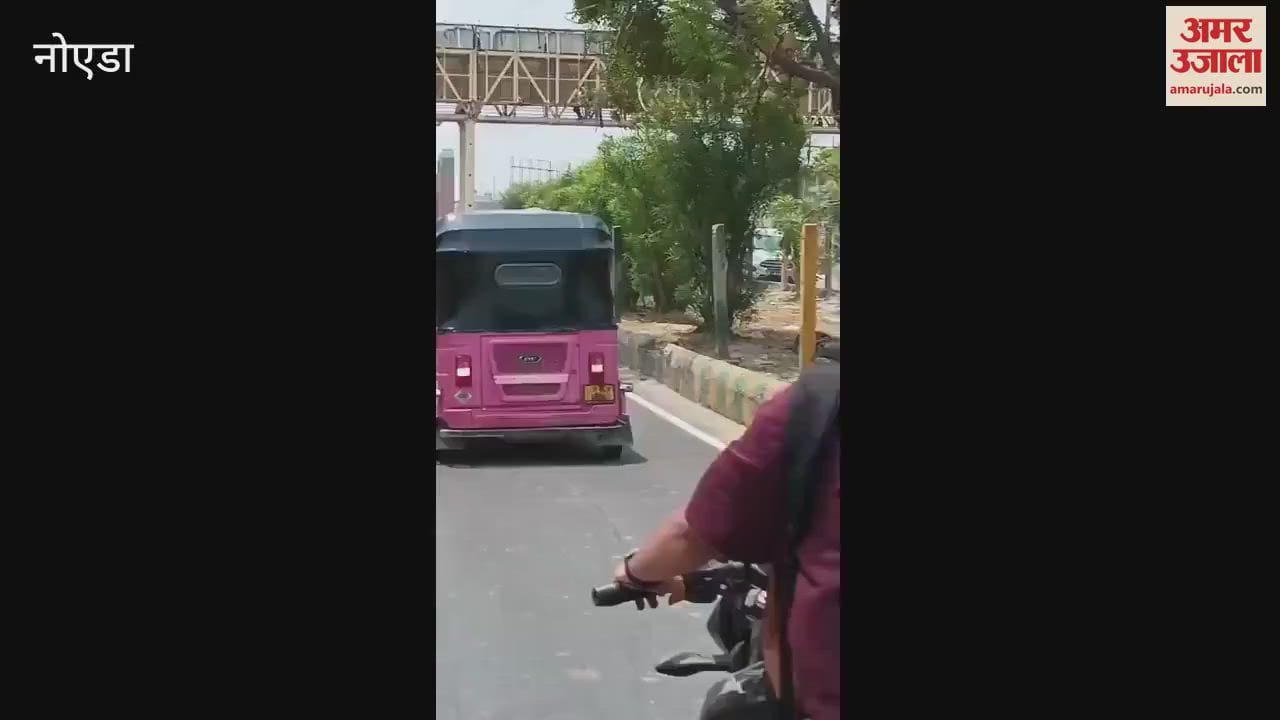 Video of a young man doing stunts with a pink auto in Noida goes viral