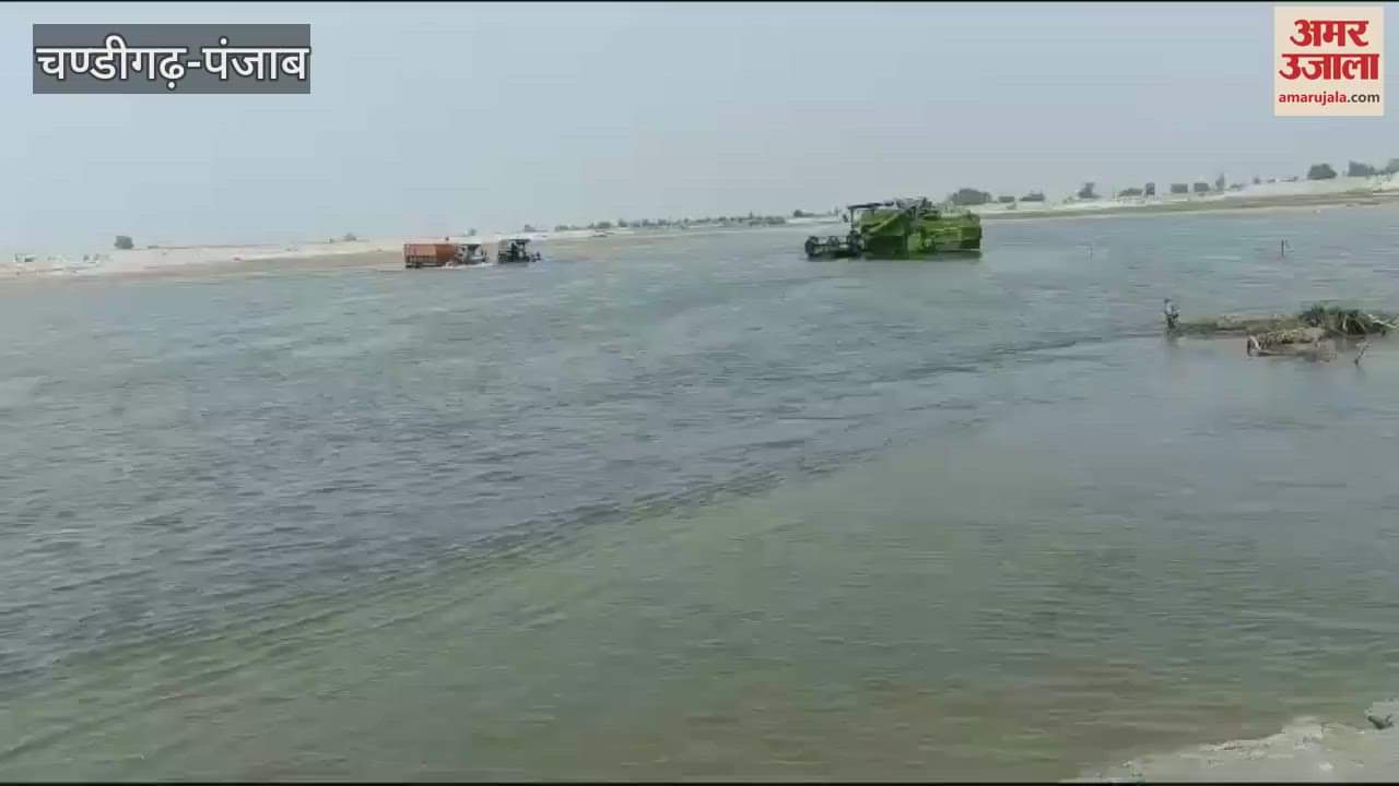Farmers of border villages of Ferozepur face difficulty in transporting grains to the market