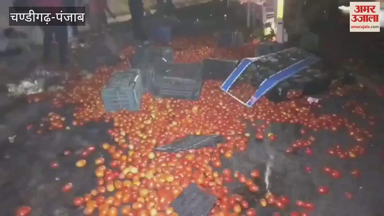 pickup van loaded with tomatoes overturned on Moga Ludhiana Road, driver injured