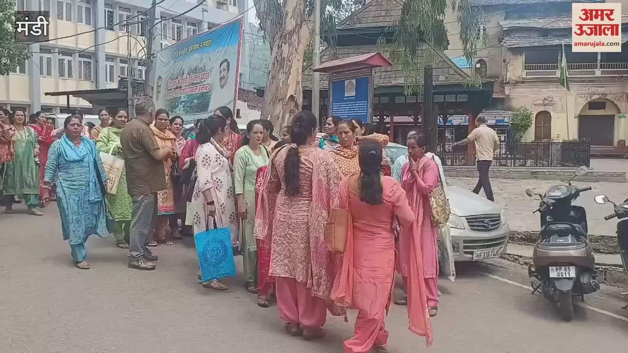 Mandi CITU demands Government should appoint animal and agriculture friends as pashu mitra