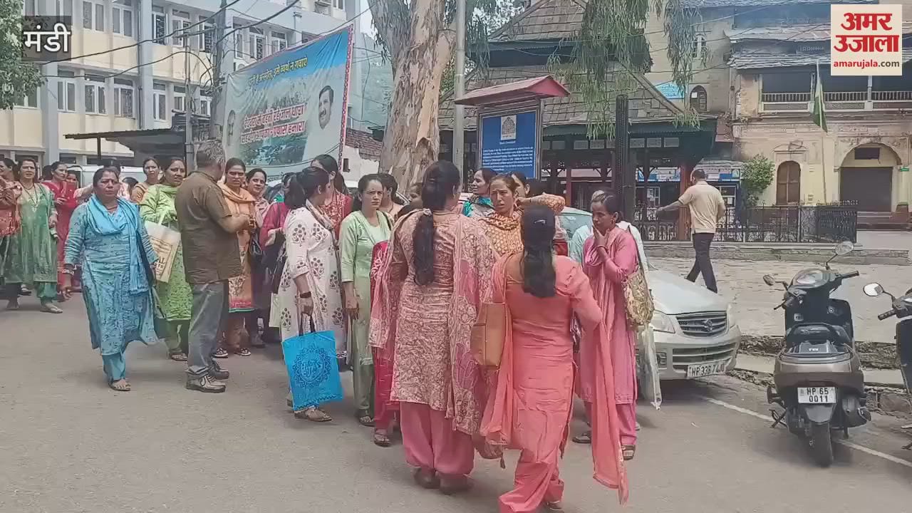 Mandi CITU demands Government should appoint animal and agriculture friends as pashu mitra