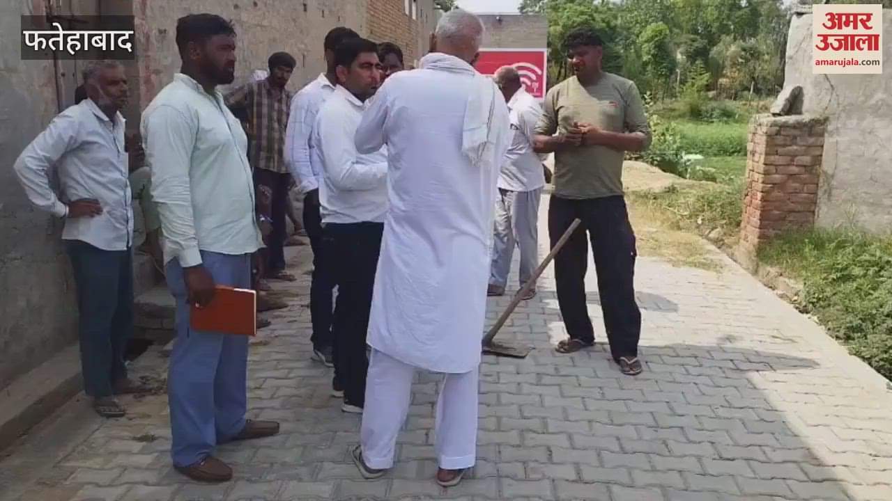 Vegetables were being grown using drinking water in Fatehabad's Jandwala Sotar, 18 connections were cut