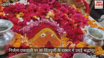 On Nirjala Ekadashi, devotees gathered in the court of mother Chintapurni