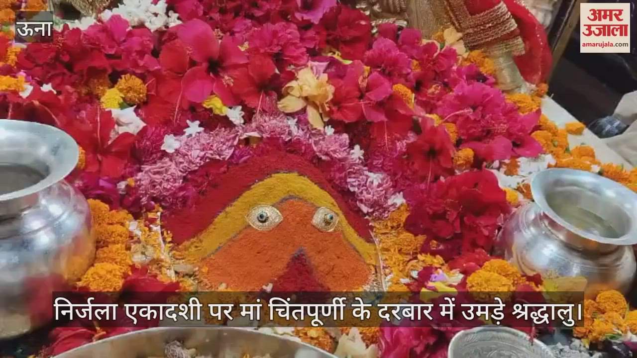 On Nirjala Ekadashi, devotees gathered in the court of mother Chintapurni