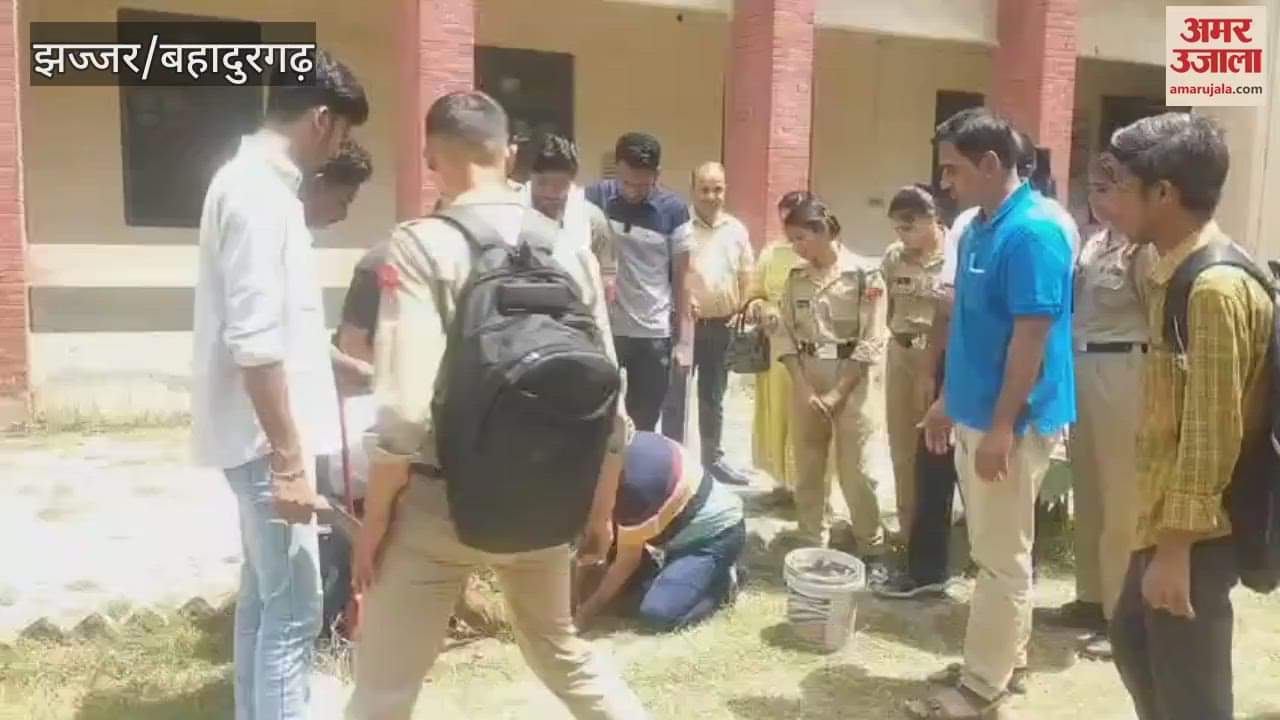 Yoga and tree plantation program organized at Nehru College in Jhajjar