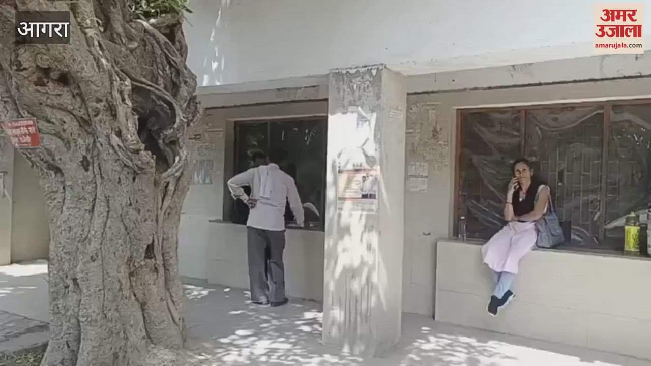 Online portal and help desk system failed in university