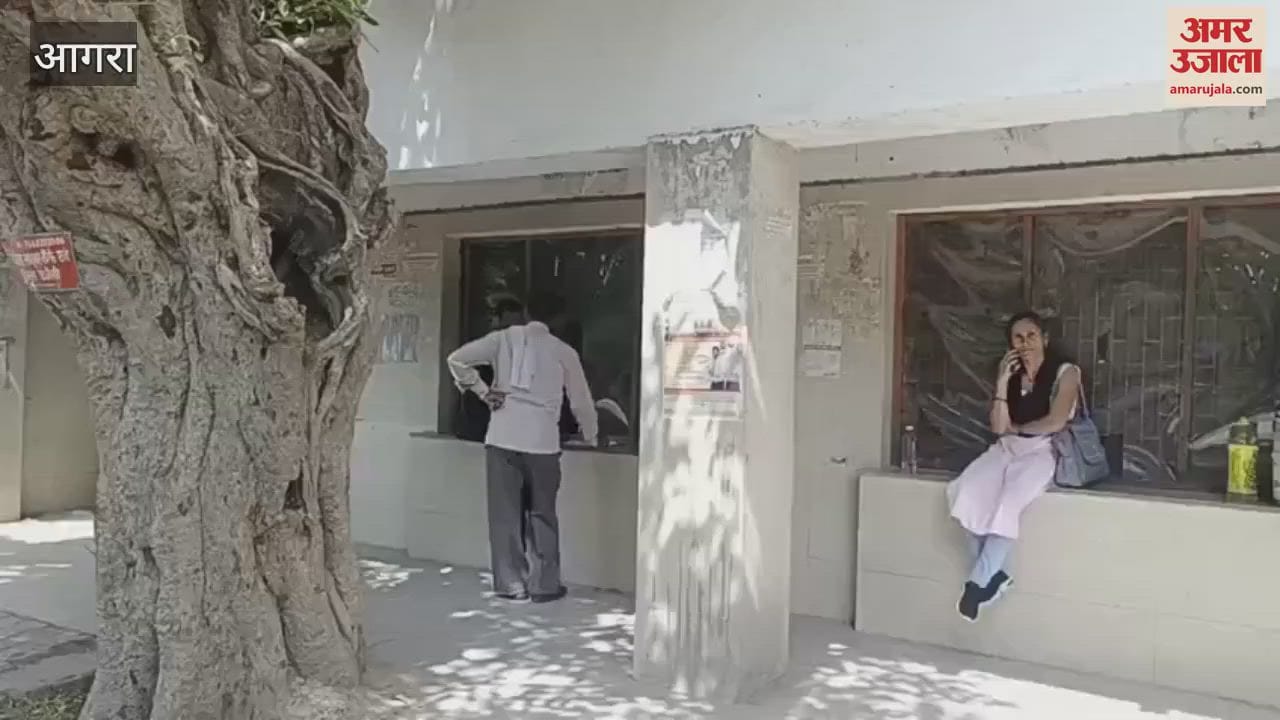 Online portal and help desk system failed in university