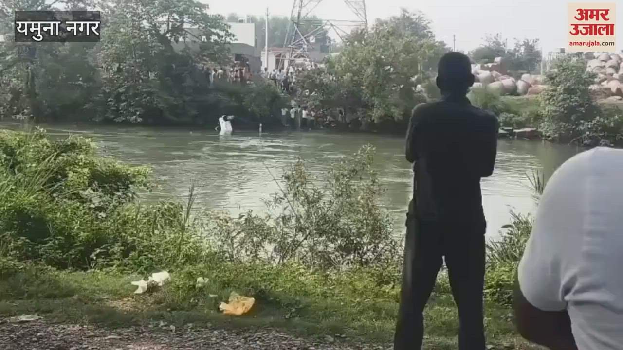 Scorpio broke the railing of the bridge and fell into the Yamuna canal in Yamunanagar, the driver saved his life by jumping