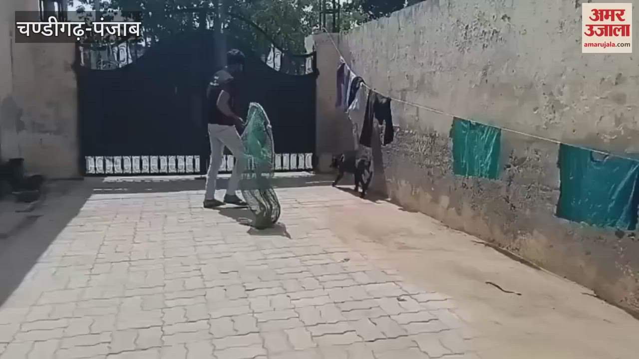 ABC center started in Moga