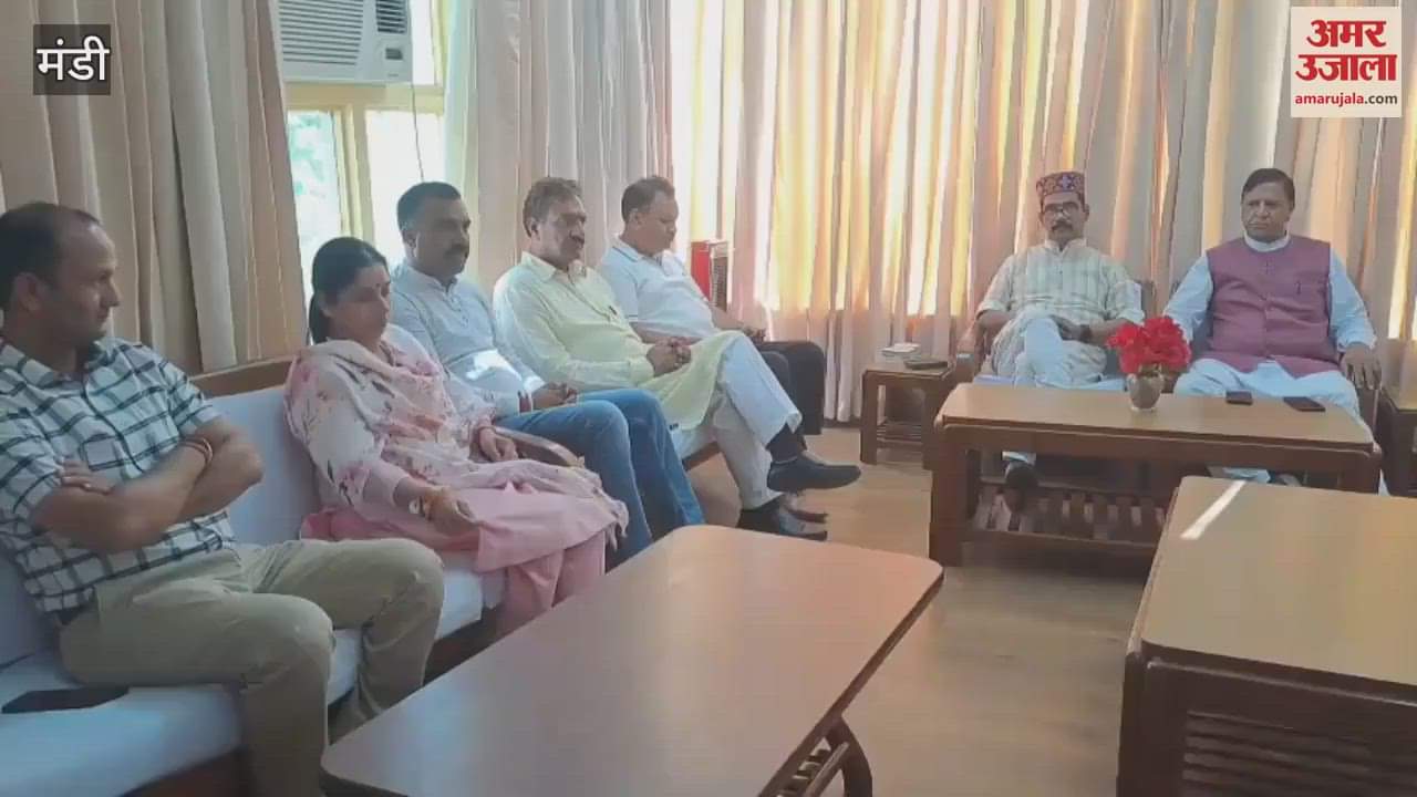 Mandi Rajiv Bindal said On completion of 11 years of Modi government BJP will organize a program in the form of Sankalp se Siddhi