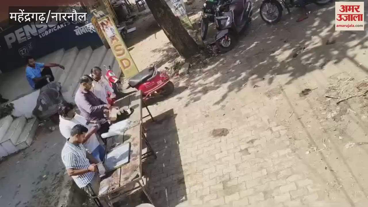 Chabil at Nizampur Road in Narnaul