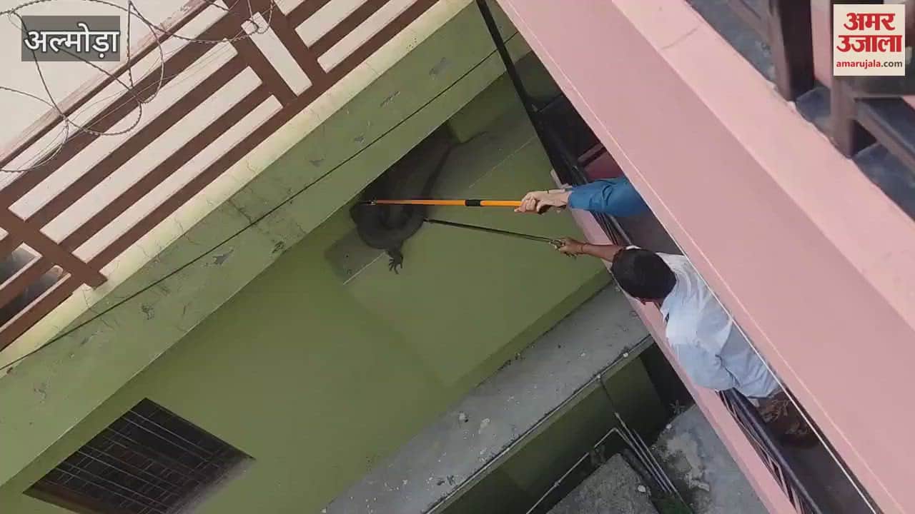 Monitor lizard reached Ranidhara ward at almora