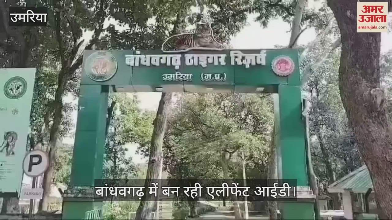 For the first time in Bandhavgarh, wild elephants are being identified