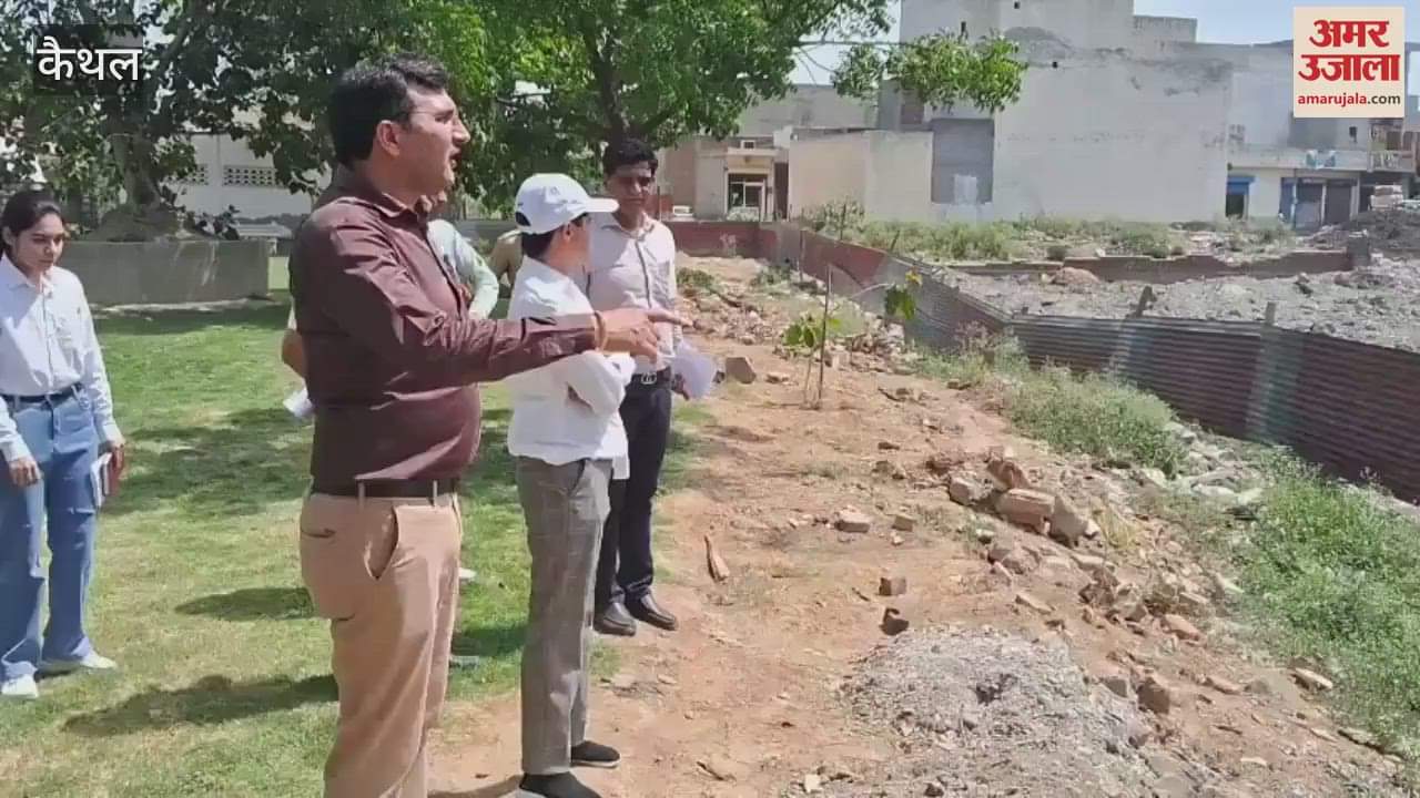 Orders issued to issue notice to those who throw cow dung in drains in Kaithal, DC inspected
