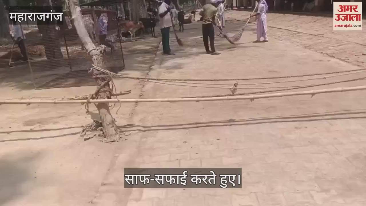 Cleanliness should be ensured in cow shelters by running a campaign