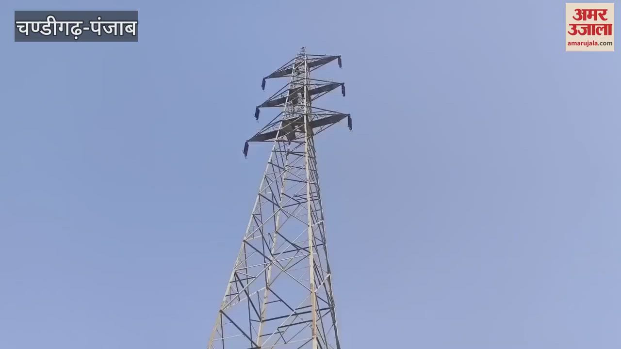 Two Old Man Of Shahpur Kandi Barrage Sangharsh Committee Climbed Electricity Tower In Pathankot