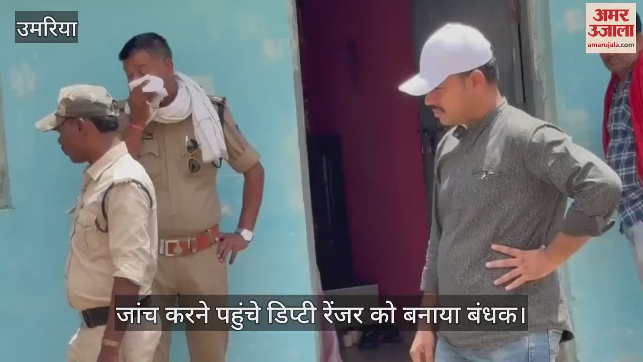 High-voltage drama by the wife of a wood smuggler