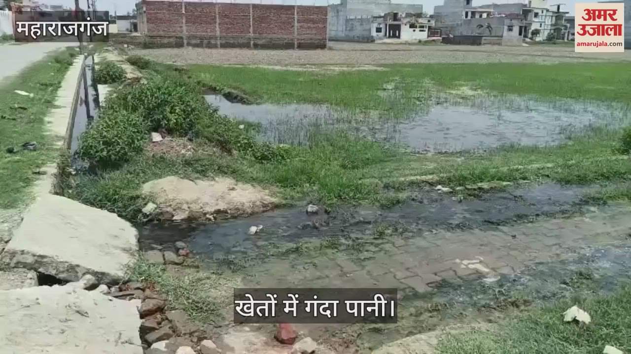 Dirty water going into the fields due to lack of drainage