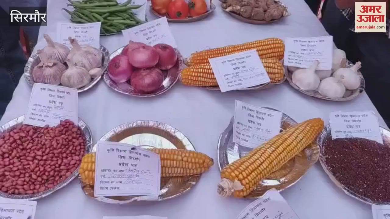 Sirmaur Legal services mega camp organized in Naya village of Shillai subdivision