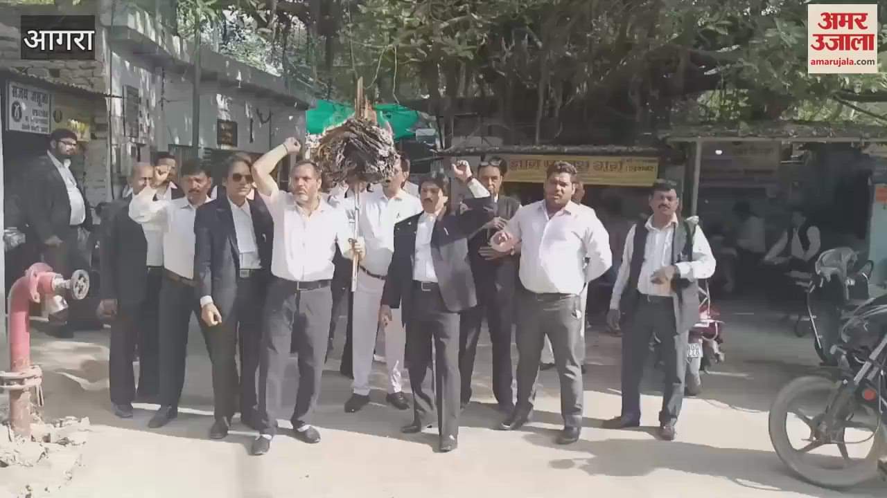 Effigy of Union Law Minister burnt, this is why Agra lawyers are angry