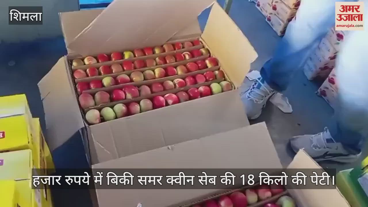 18 kg box of Summer Queen apples sold for thousand rupees