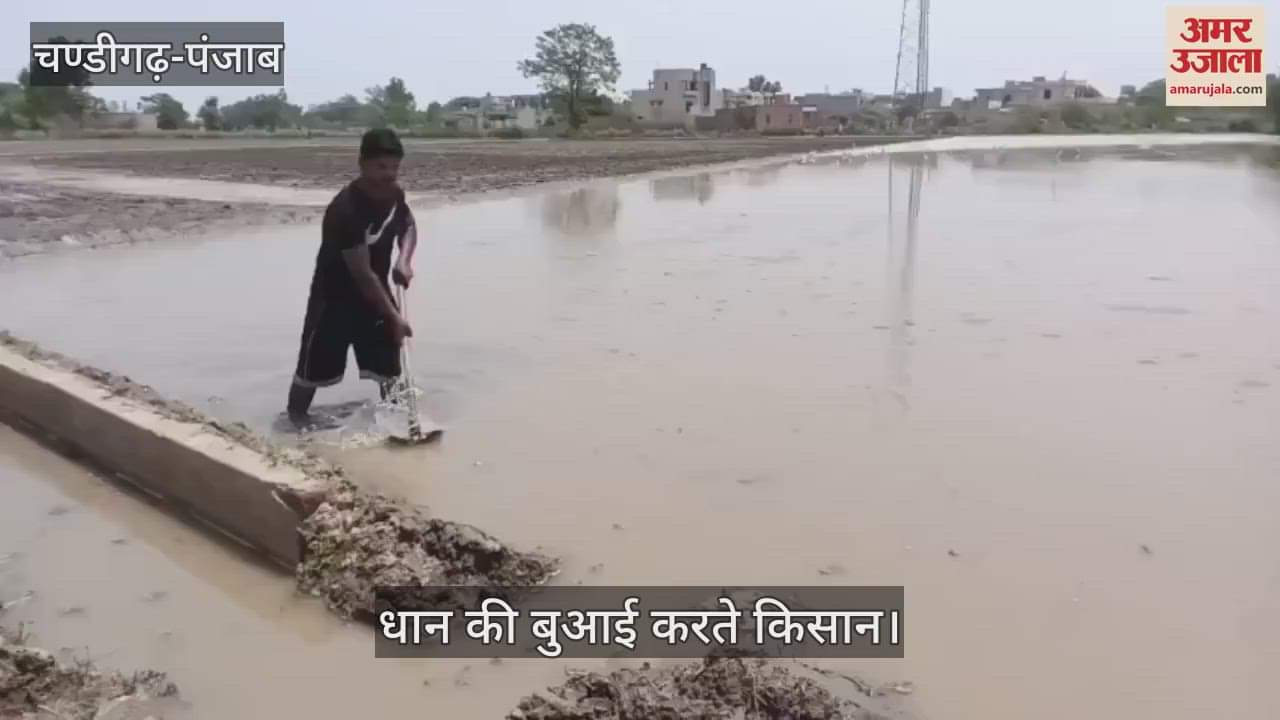 Paddy sowing begins in Moga