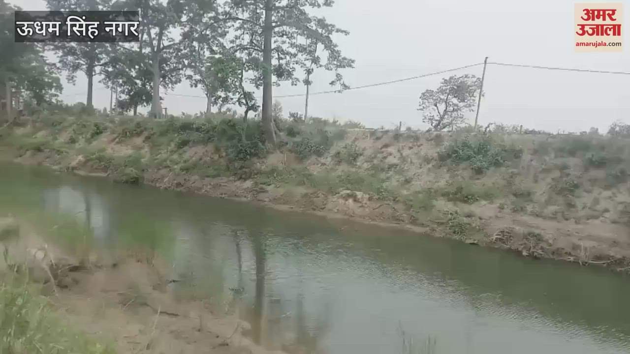 Tiger seen in Haldighera village of Majhola area