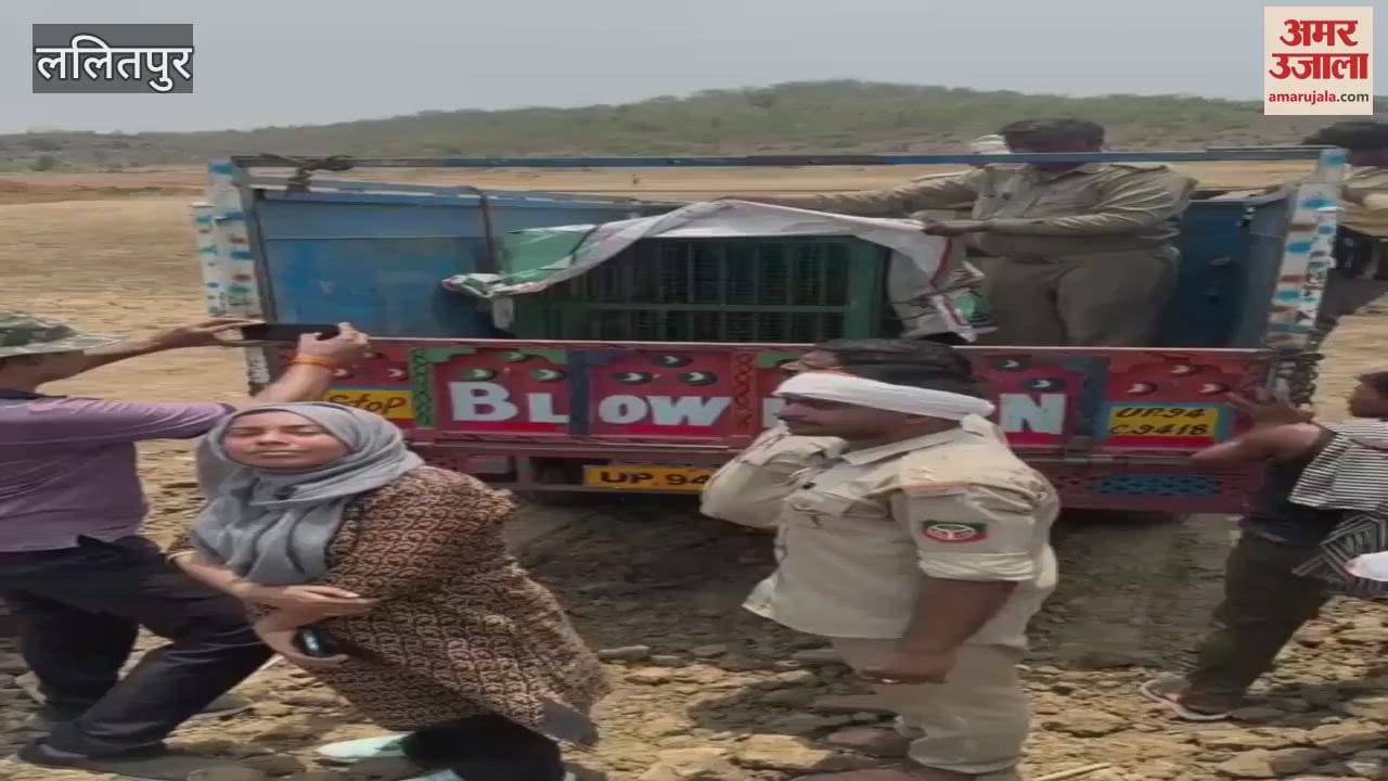 team from Kanpur rescued the leopard