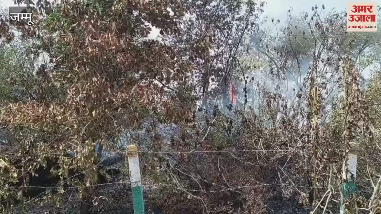 A huge fire broke out in the Simbal Choya forest