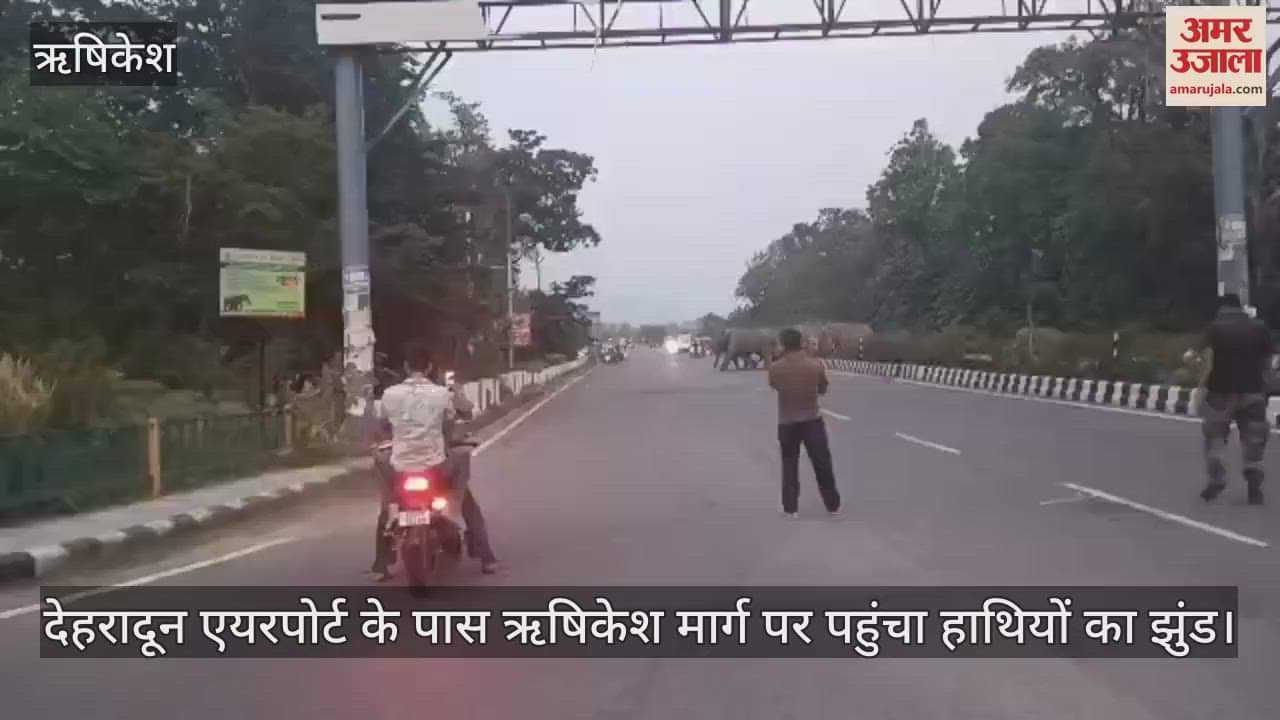 A herd of elephants reached Rishikesh road near Dehradun airport, traffic stopped