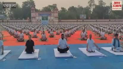 Yoga Protocol Teachers Camp of International Yoga Day 2025 at Panchkula Bhanu ITBP