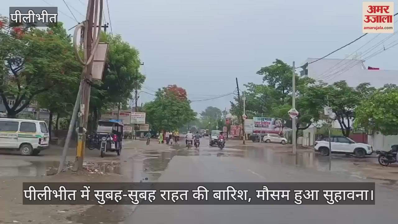 Weather changed due to rain in Pilibhit