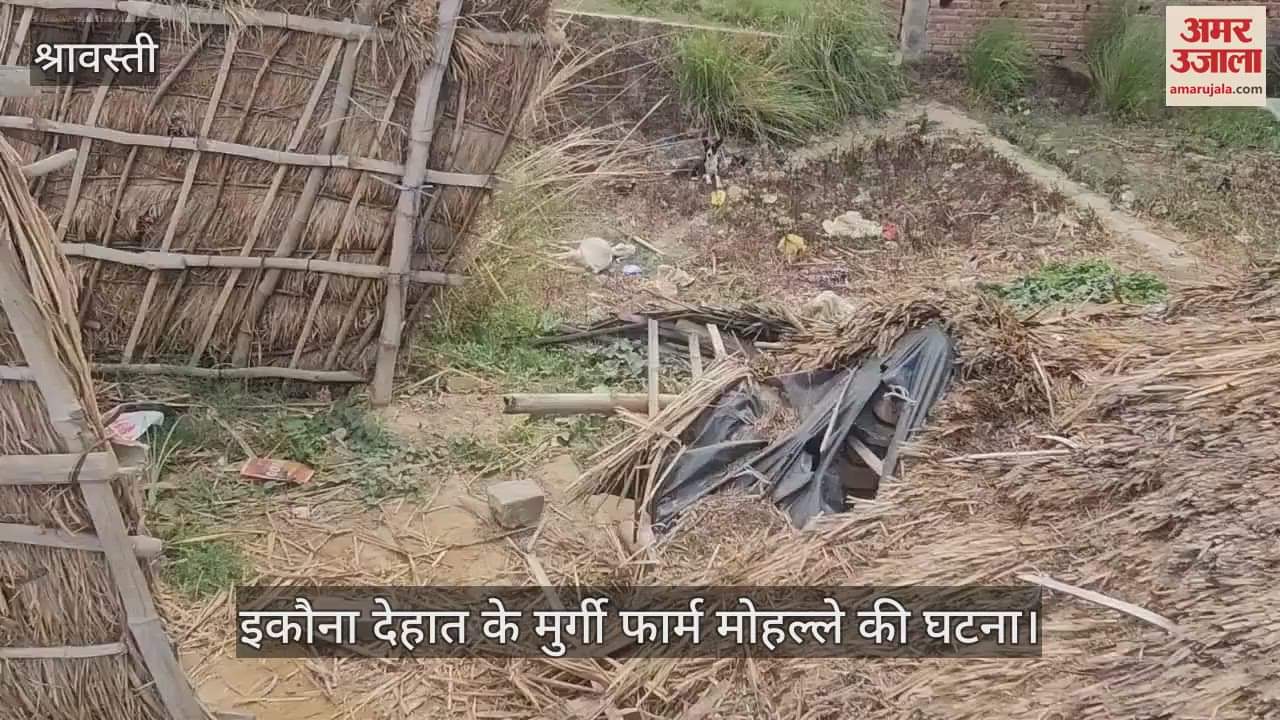VIDEO: संदिग्ध परिस्थितियों में 14 बकरियों की मौत, इकौना देहात के मुर्गी फार्म मोहल्ले की घटना, जांच में जुटी पुलिस