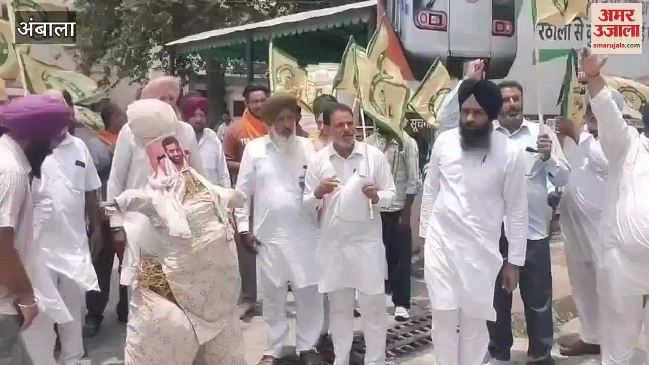 Farmers burnt the effigy of the government in Ambala over irregularities in the weighing of sunflower