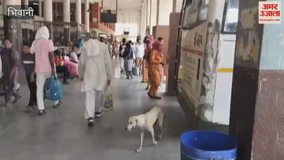 110 buses sent from Bhiwani for Sant Kabir Jayanti program