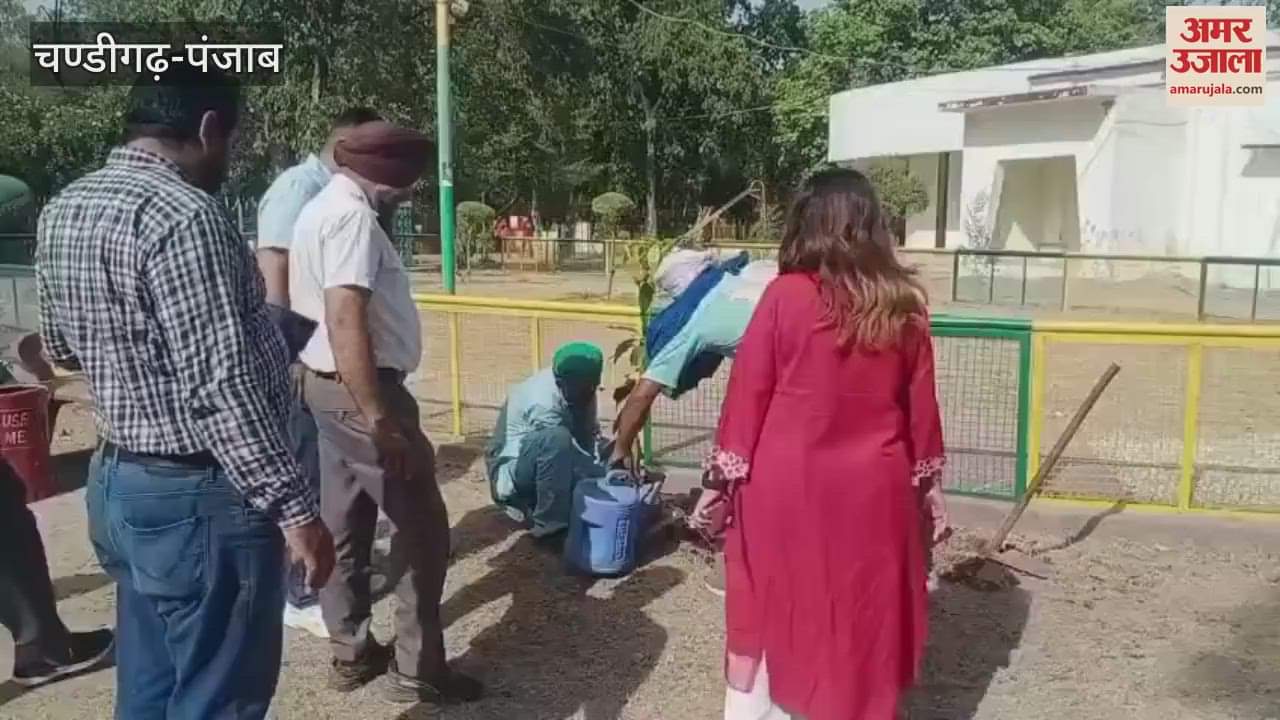 Four thousand saplings will be planted in Kapurthala