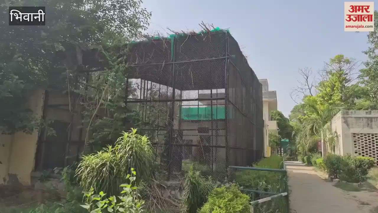 heat also affected the wildlife in the mini zoo in Bhiwani, the temperature reached 45 degrees