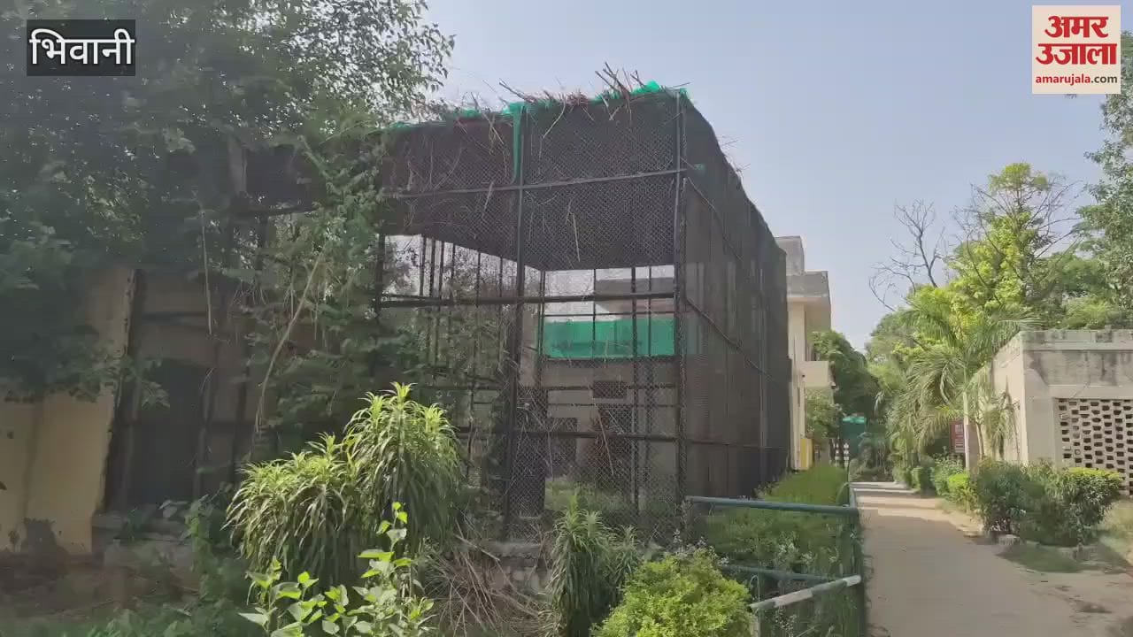 heat also affected the wildlife in the mini zoo in Bhiwani, the temperature reached 45 degrees