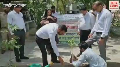 Plantation in Guruharsahai Judicial Complex