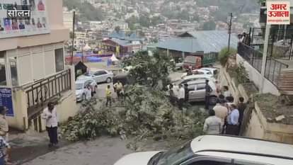 Solan A tree fell in the municipal corporation parking lot due to a strong storm several vehicles damaged