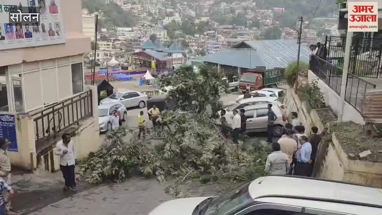 Solan A tree fell in the municipal corporation parking lot due to a strong storm several vehicles damaged