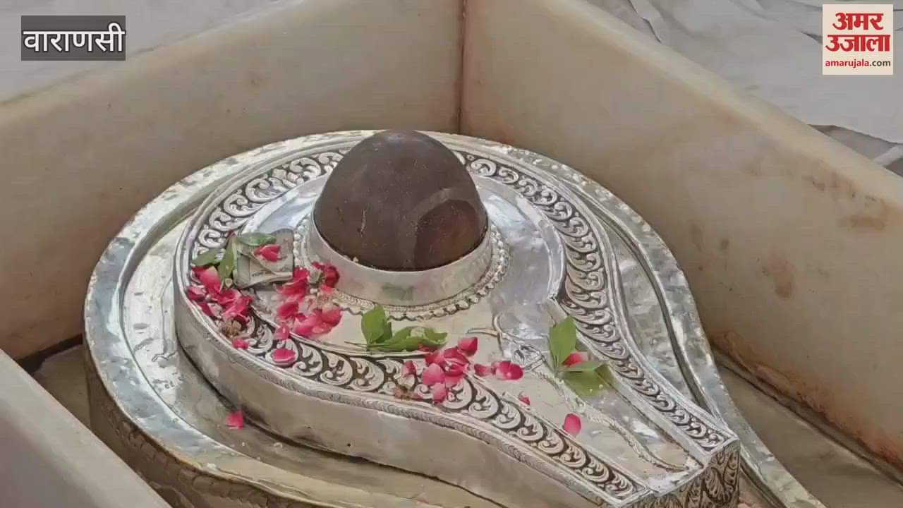 Shri Rudra Shanti Patha for peace of souls departed in plane crash watch VIDEO