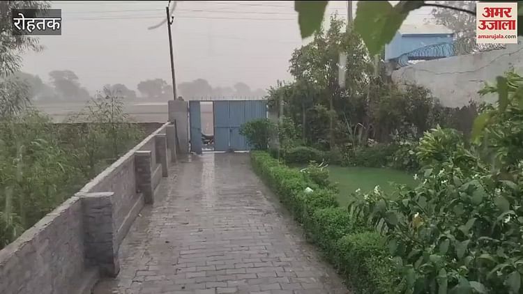 Rain In Rohtak, People Got Relief From Heat - Amar Ujala Hindi News Live - रोहतक में बारिश, लोगों ने मिली गर्मी से राहत
