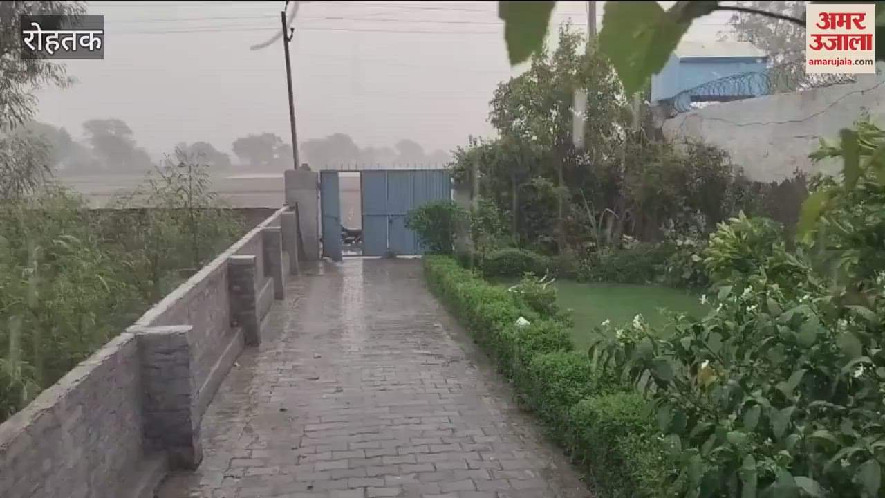 Rain in Rohtak, people got relief from heat