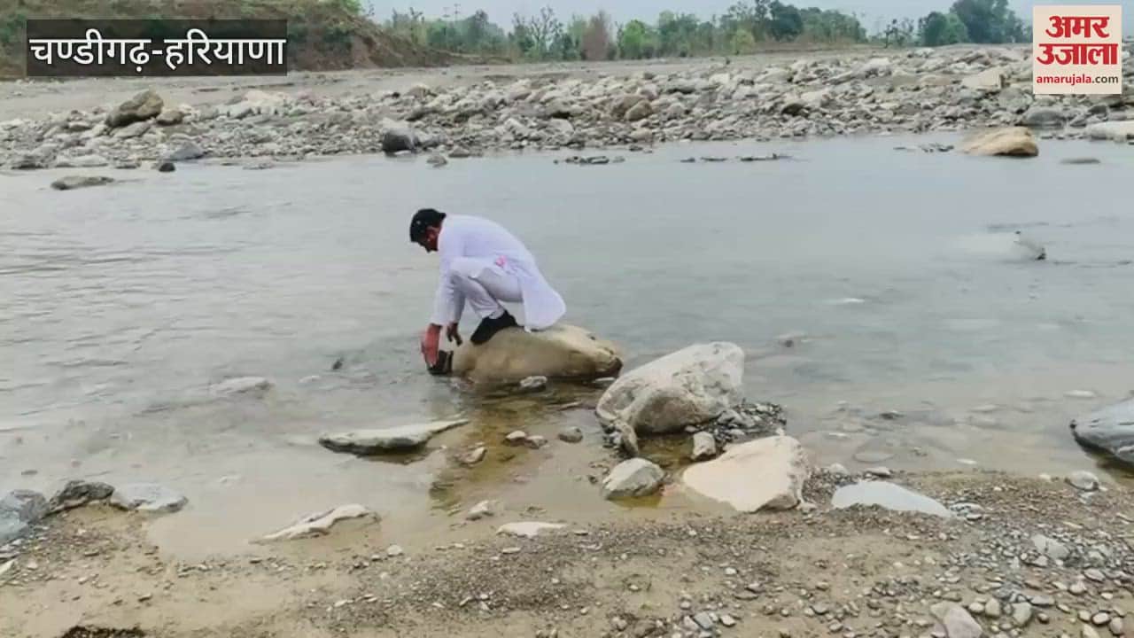 Haryana govt sought cooperation from Uttarakhand work will be done together on Tons river