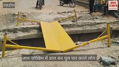 Shahdol News: People are crossing the Bansagar bridge of Son river risking their lives