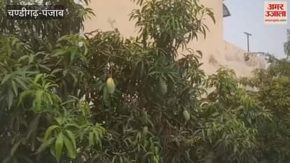 Weather changed in Kapurthala